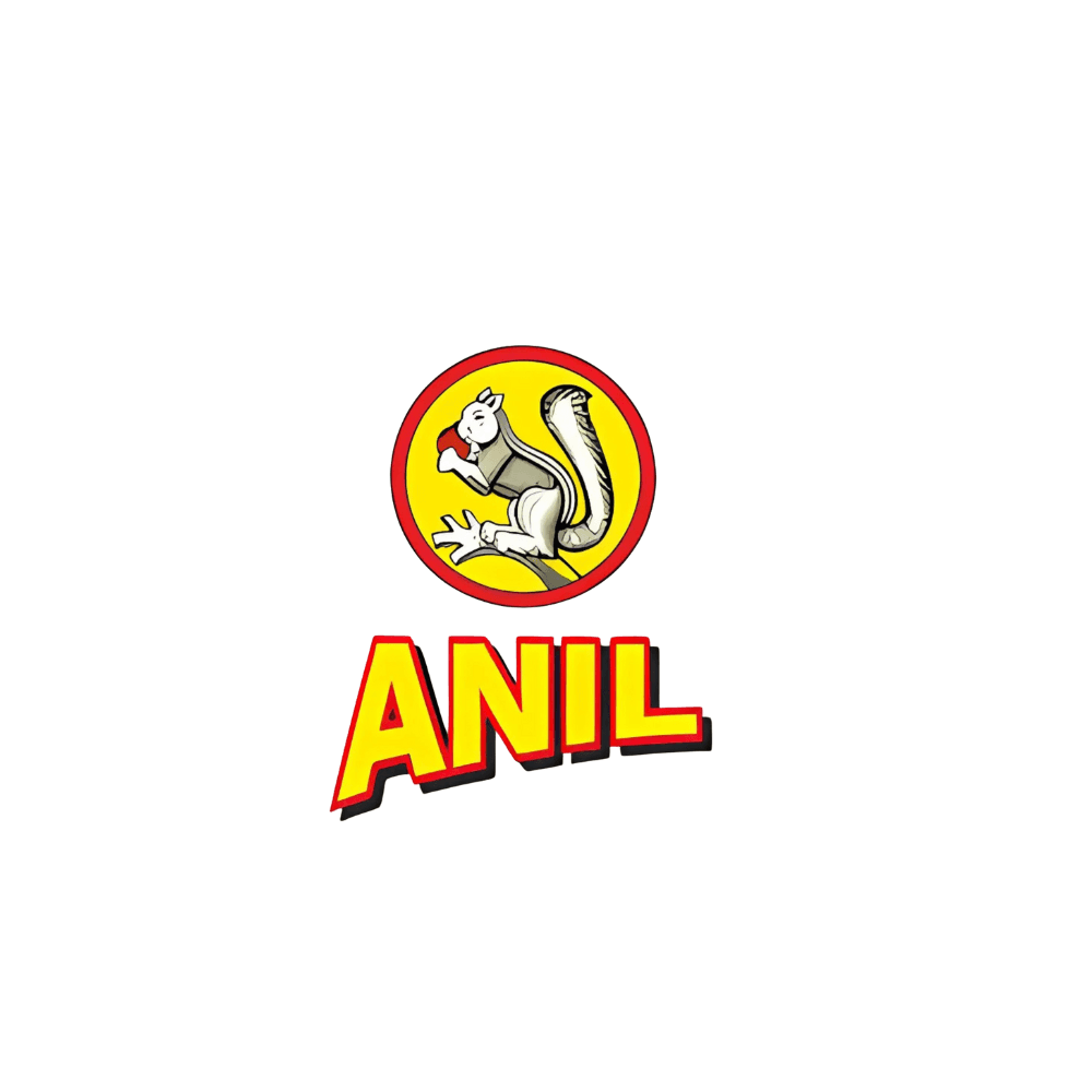Anil Fireworks